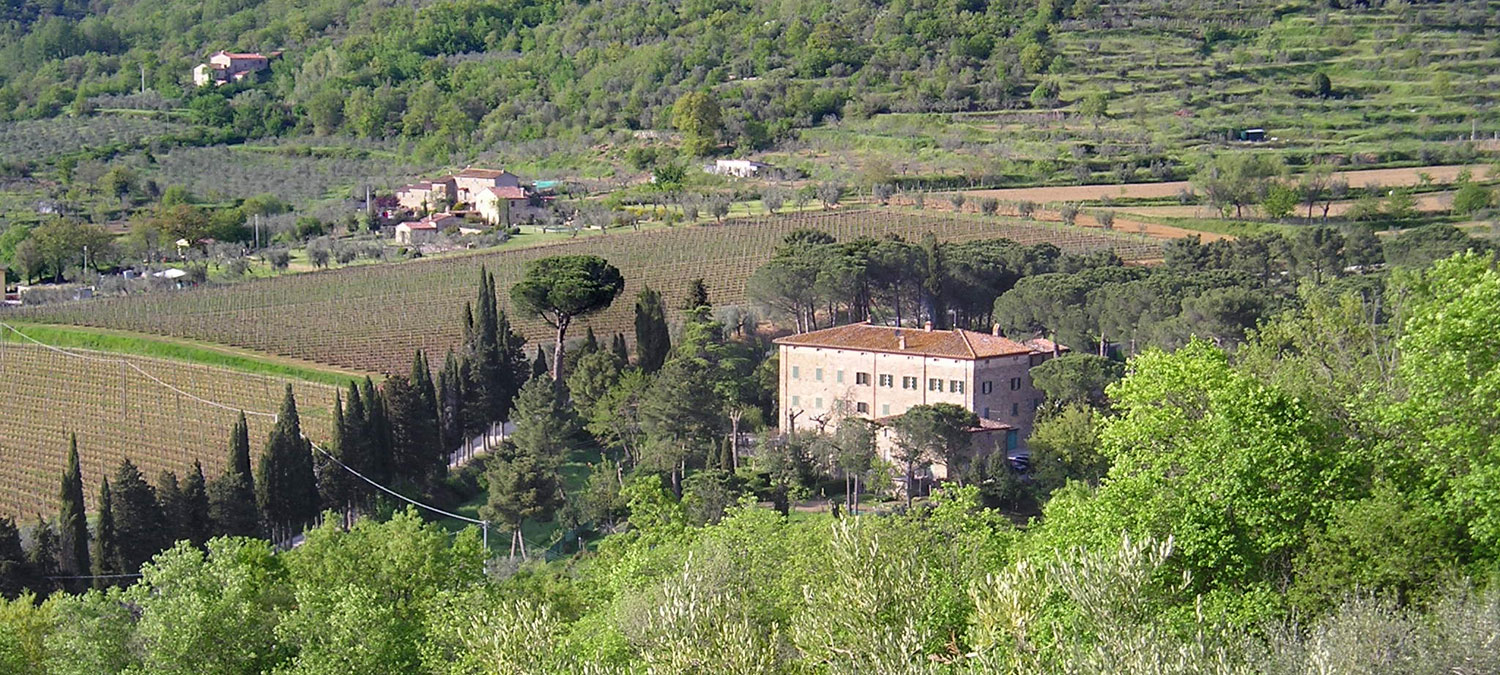 il Maggese farmhouse cortona