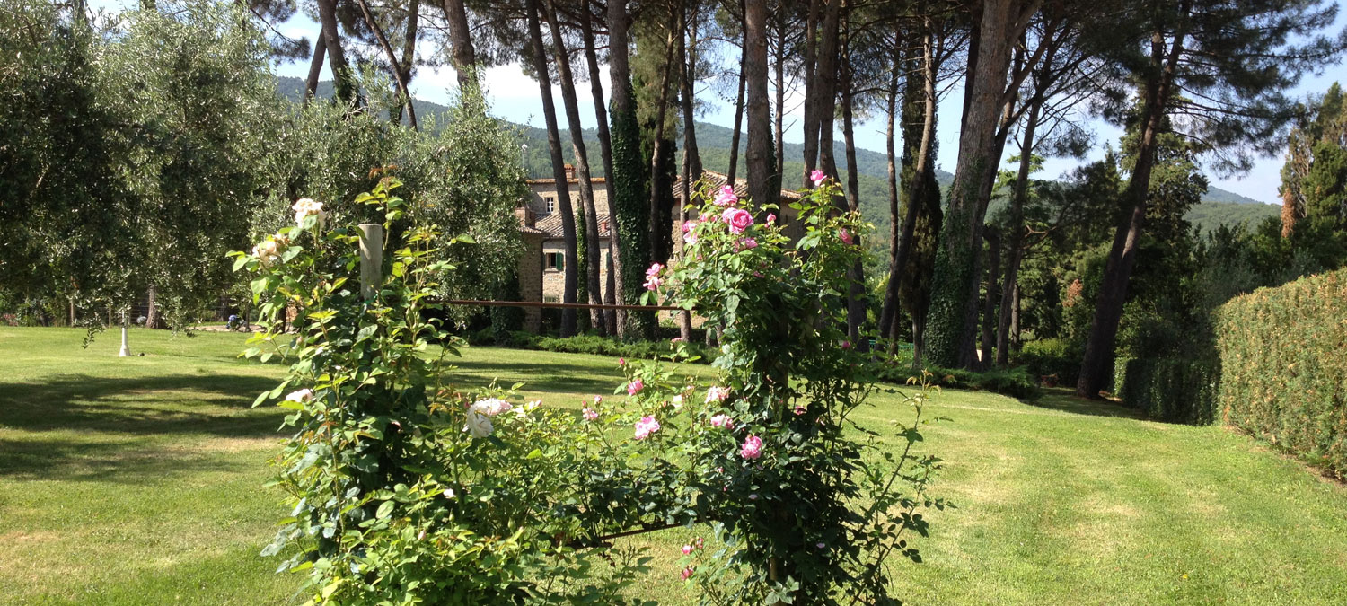 il Maggese farmhouse cortona