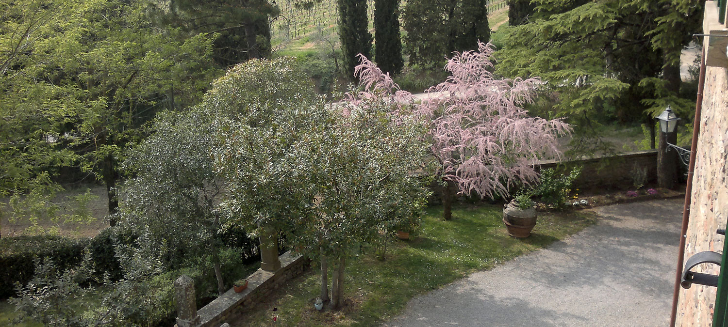 il Maggese farmhouse cortona