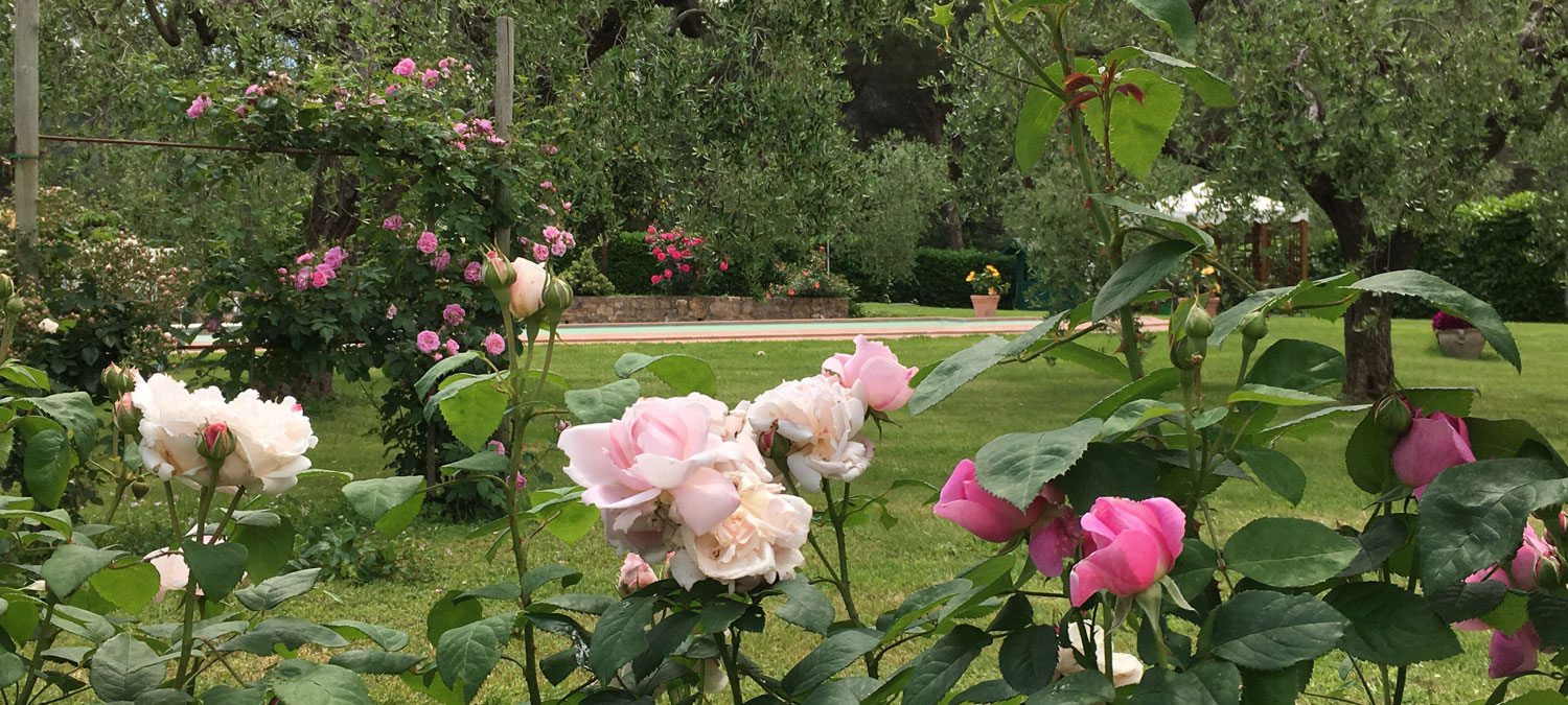 il Maggese farmhouse cortona