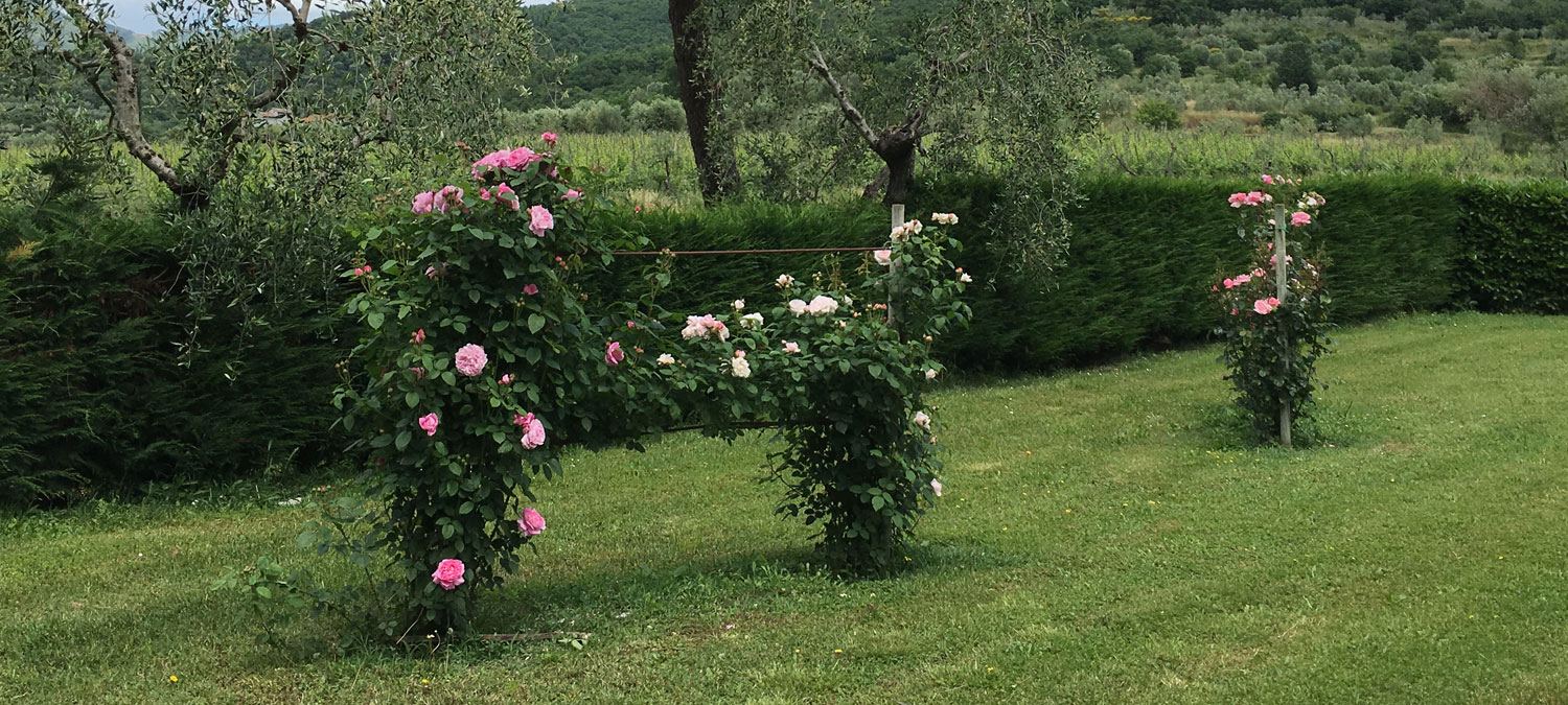 il Maggese farmhouse cortona